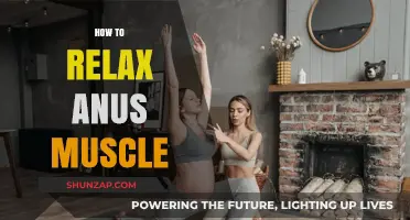 Effective Techniques to Relax Your Anus Muscle for Comfort and Relief