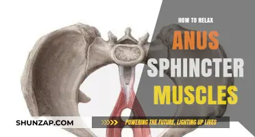 Effective Techniques to Relax Your Anus Sphincter Muscles Easily