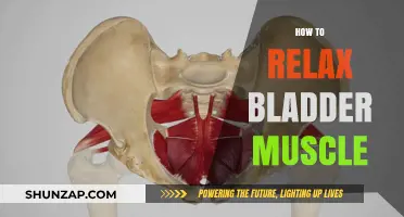 Effective Techniques to Calm and Relax Your Bladder Muscles