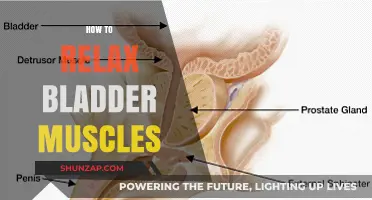 Effective Techniques to Relax Bladder Muscles for Better Comfort
