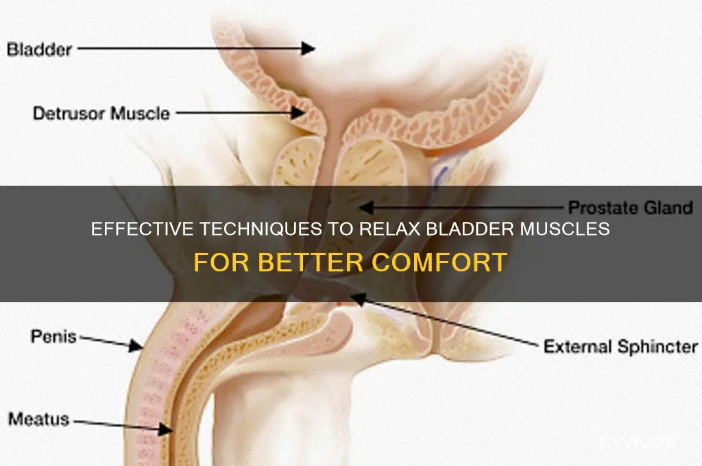 how to relax bladder muscles