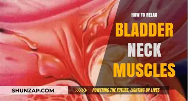 Effective Techniques to Relax Bladder Neck Muscles for Better Flow