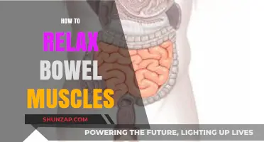 Effective Techniques to Relax Bowel Muscles for Comfort and Relief