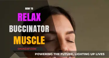 Effective Techniques to Relax Your Buccinator Muscle for Stress Relief