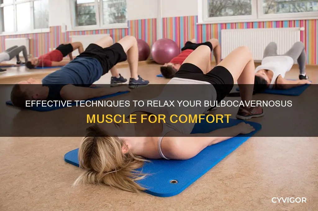 how to relax bulbocavernosus muscle