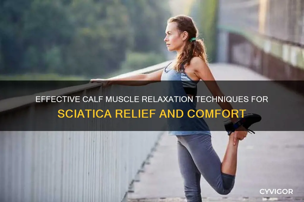 how to relax calf muscles from siatica