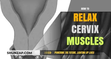 Effective Techniques to Naturally Relax Cervix Muscles for Comfort and Ease