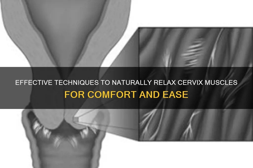 how to relax cervix muscles