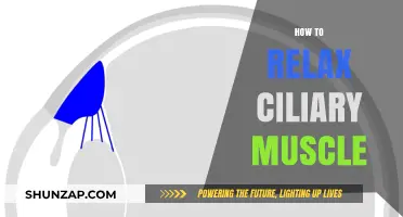 Effective Techniques to Relax Your Ciliary Muscle for Better Eye Health