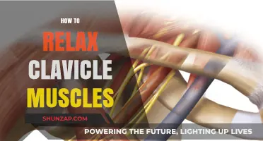 Effective Techniques to Relax and Release Tight Clavicle Muscles
