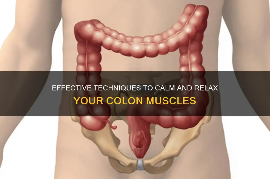 how to relax colon muscles