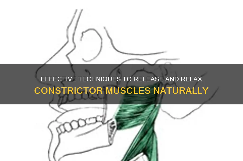 how to relax constrictor muscles
