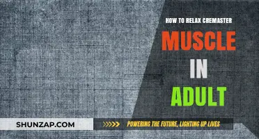 Effective Techniques to Relax Your Cremaster Muscle as an Adult