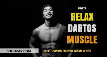 Effective Techniques to Relax Your Dartos Muscle for Comfort and Relief