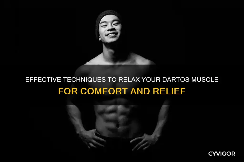 how to relax dartos muscle