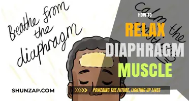 Effective Techniques to Relax Your Diaphragm Muscle for Better Breathing