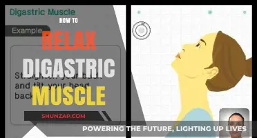 Effective Techniques to Relax Your Digastric Muscle and Relieve Tension