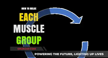Unwind and Release: A Guide to Relaxing Every Muscle Group