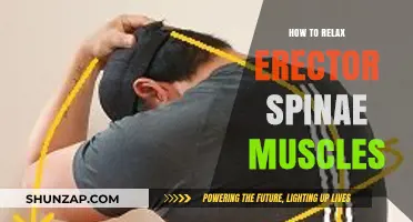 Effective Techniques to Relax Your Erector Spinae Muscles Easily