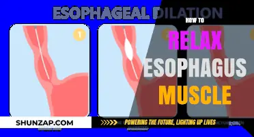 Effective Techniques to Relax Your Esophagus Muscle for Comfort and Relief