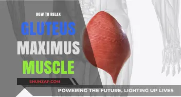 Effective Techniques to Relax Your Gluteus Maximus Muscle Easily