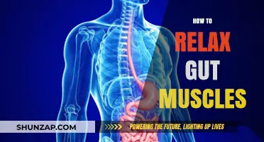 Effective Techniques to Calm and Relax Your Gut Muscles