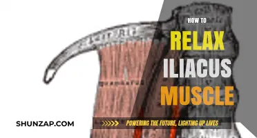 Effective Techniques to Relax Your Iliacus Muscle and Relieve Tension