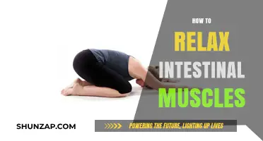 Effective Ways to Relax Intestinal Muscles for Better Digestion