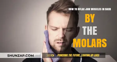 Ease Jaw Tension: Simple Techniques to Relax Molar Muscles Fast