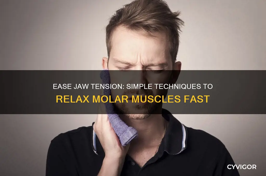 how to relax jaw muscles in back by the molars
