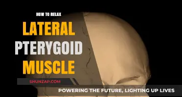 Effective Techniques to Relax Your Lateral Pterygoid Muscle Easily