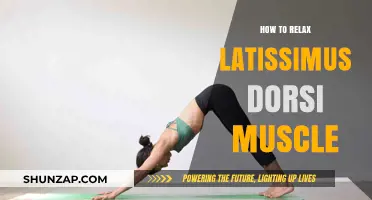 Effective Techniques to Relax Your Latissimus Dorsi Muscle Easily