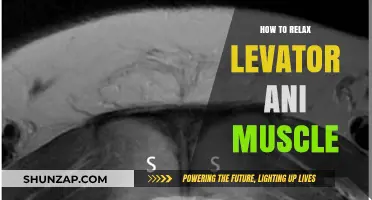 Effective Techniques to Relax Your Levator Ani Muscle Easily