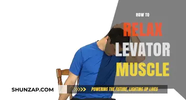 Effective Techniques to Relax Your Levator Muscle for Comfort and Relief