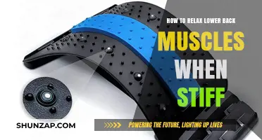 Effective Techniques to Relieve Stiff Lower Back Muscles and Relax