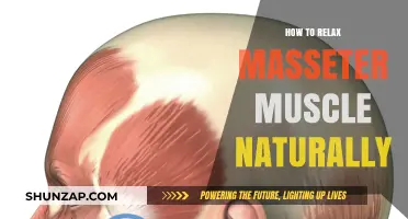 Natural Ways to Relax Your Masseter Muscle for Jaw Tension Relief