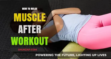 Effective Post-Workout Muscle Relaxation Techniques for Faster Recovery