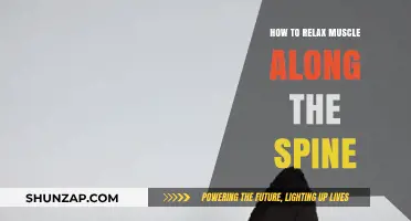 Effective Techniques to Relax and Release Tight Spinal Muscles