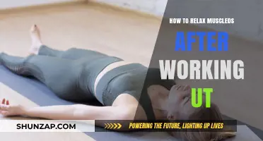 Effective Post-Workout Muscle Relaxation Techniques for Quick Recovery