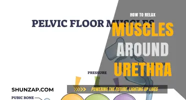 Effective Techniques to Relax Urethral Muscles for Comfort and Relief