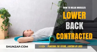 Effective Techniques to Relax and Release Contracted Lower Back Muscles