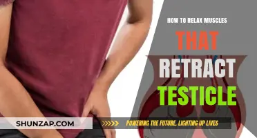 Effective Techniques to Relax Retracting Testicle Muscles for Comfort and Relief