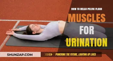 Relax Pelvic Floor Muscles: Easy Techniques for Comfortable Urination