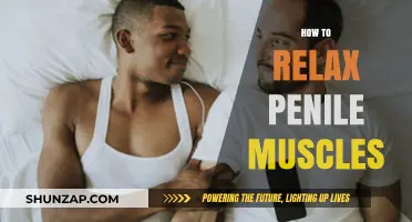 Effective Techniques to Relax Penile Muscles for Better Sexual Health