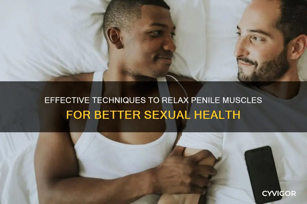 how to relax penile muscles