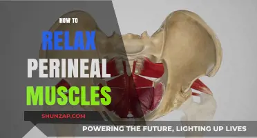 Effective Techniques to Relax Your Perineal Muscles for Comfort and Relief