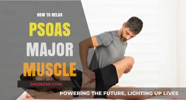 Effective Techniques to Release and Relax Your Tight Psoas Major Muscle