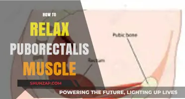 Effective Techniques to Relax Your Puborectalis Muscle for Comfort and Relief