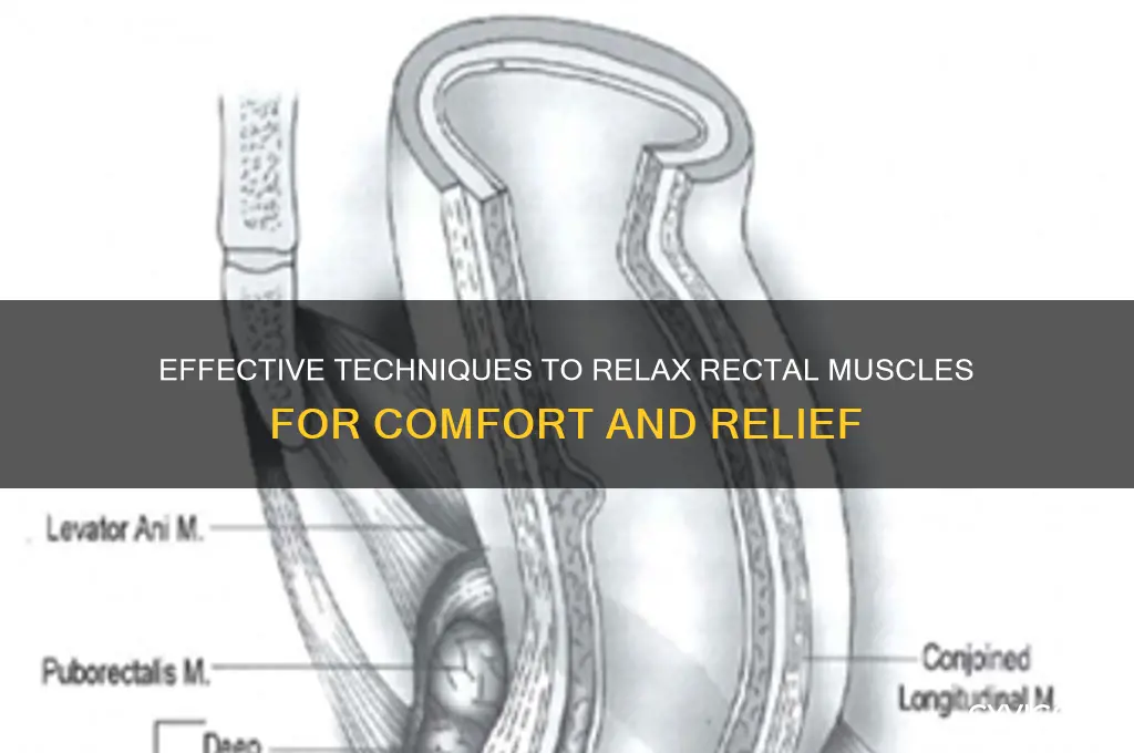 how to relax rectal muscles