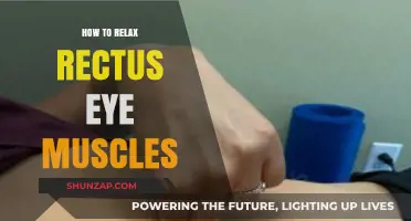 Effective Techniques to Relax Rectus Eye Muscles for Comfort and Relief